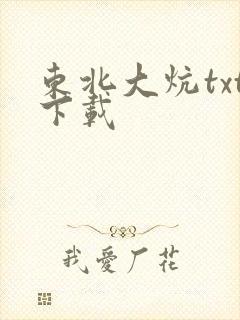 东北大炕txt下载封面