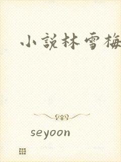 小说林雪梅