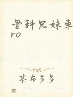 骨科兄妹车多pro封面