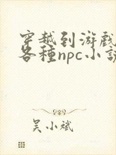 穿越到游戏里和各种npc小说