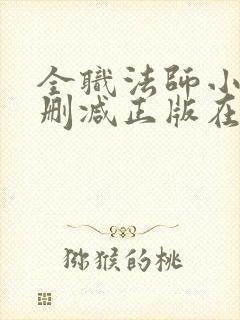 全职法师小说无删减正版在线阅读