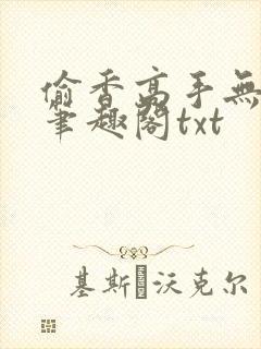 偷香高手无删减笔趣阁txt封面