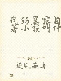 我的暴露日记原著小说叫什么封面