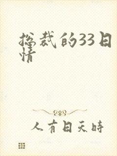 总裁的33日索情封面