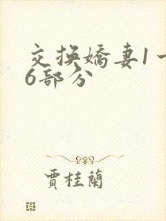 交换娇妻1一36部分