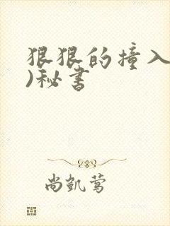 狠狠的撞入(h)秘书