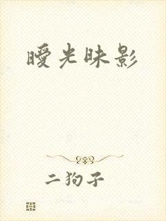 暧光昧影封面