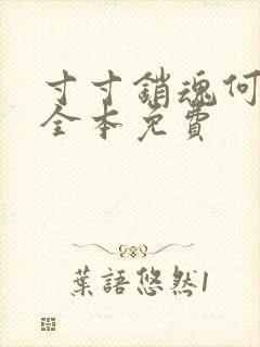 寸寸销魂何生祥全本免费