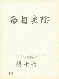 白日光阴封面