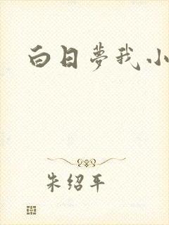 白日梦我小说