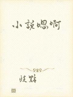 小说嗯啊