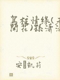 驾校情缘(老树开花)孙潇潇笔趣阁