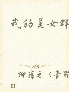 我的美女群芳封面