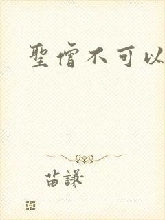 圣僧不可以