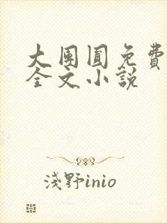 大团圆免费阅读全文小说