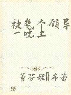 被几个领导玩弄一晚上