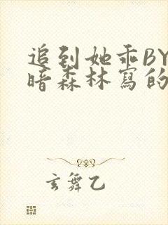 追到她乖BY黑暗森林写的小说