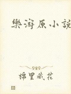 乐游原小说封面