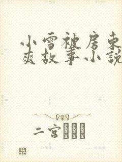 小雪被房东的好爽故事小说封面