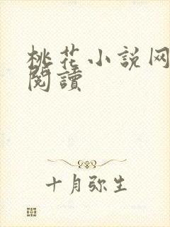 桃花小说网小说阅读封面