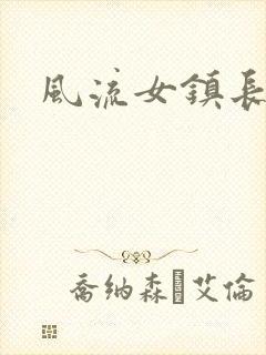 风流女镇长封面