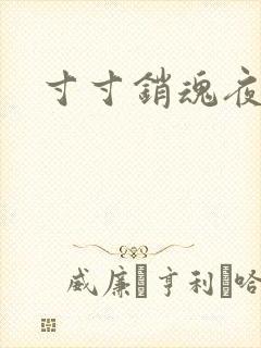 寸寸销魂夜春光