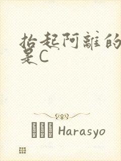 抬起阿离的腿就是C