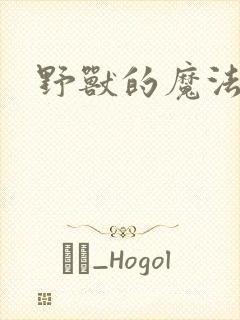 野兽的魔法师封面