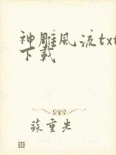 神雕风流txt下载