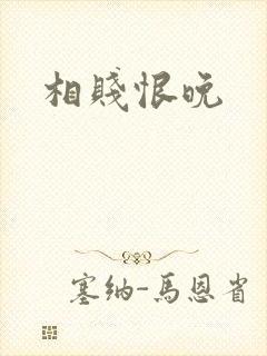 相贱恨晚封面