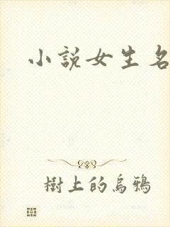小说女生名字