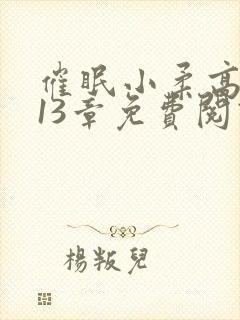 催眠小柔高达第13章免费阅读