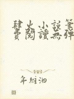 肆火小说笔趣免费阅读无弹窗封面