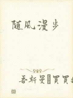 随风漫步封面