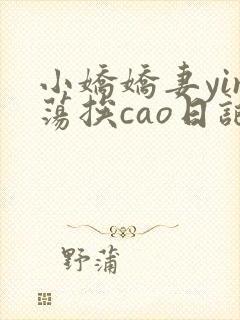 小娇娇妻yin荡挨cao日记