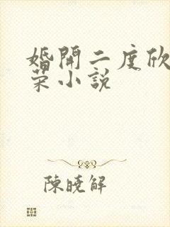 婚开二度欣欣向荣小说