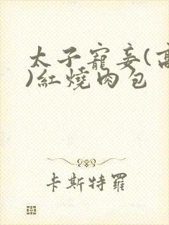 太子宠妾(高肉)红烧肉包