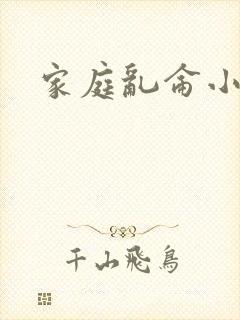 家庭乱仑小说封面