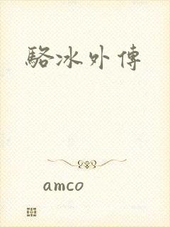 骆冰外传封面
