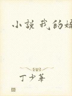 小说 我的娇妻封面
