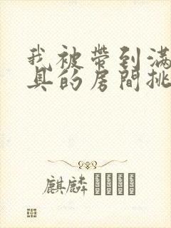 我被带到满是玩具的房间挑调作文