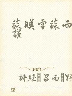 苏映雪苏雨柔小说