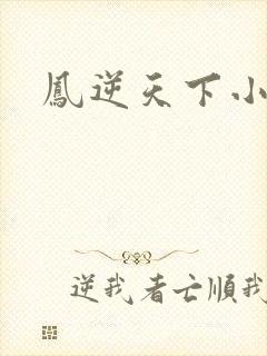 凤逆天下小说