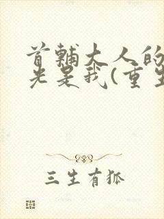 首辅大人的白月光是我(重生)