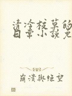清冷校草的堕落日常小说免费阅读封面