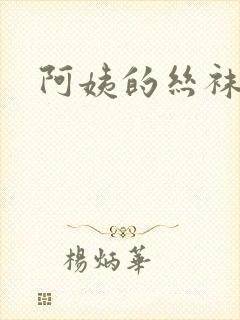 阿姨的丝袜小说