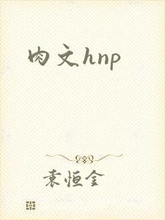 肉文hnp