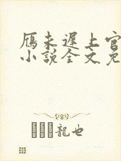 雁未迟上官穿越小说全文免费阅读