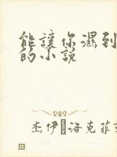 能让你湿到不行的小说封面