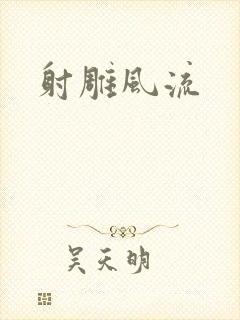 射雕风流封面